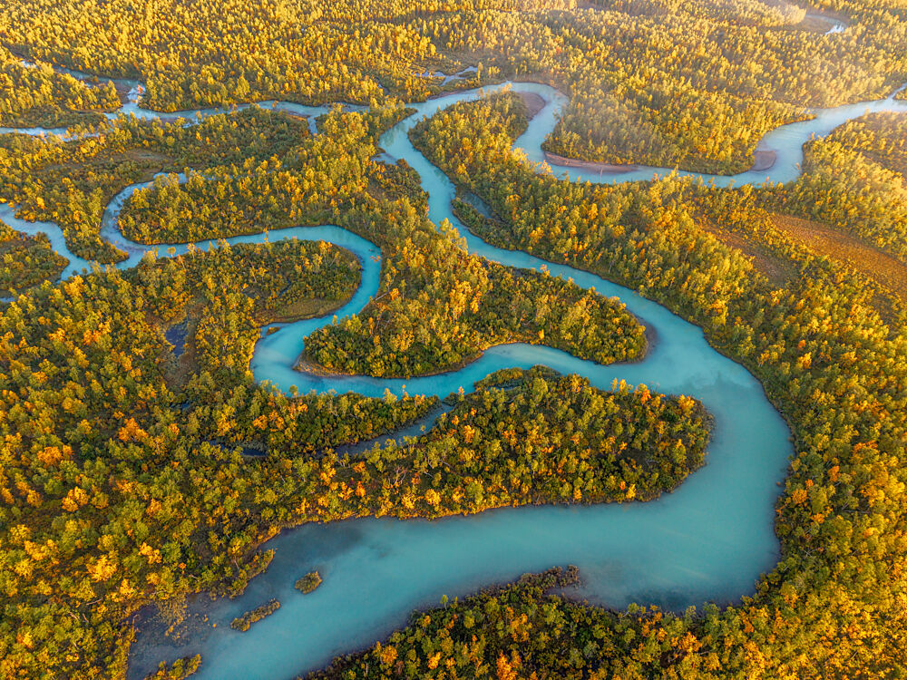 Winding River Autumn Forest art print by Julien Propper for $57.95 CAD
