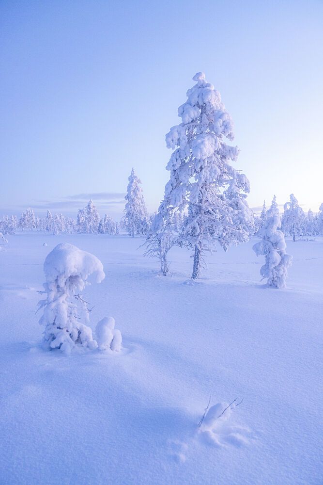 Ethereal Winter Morning art print by Julien Propper for $57.95 CAD