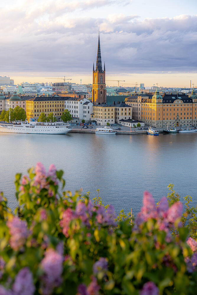 Stockholm Golden Hour Lilacs art print by Julien Propper for $57.95 CAD