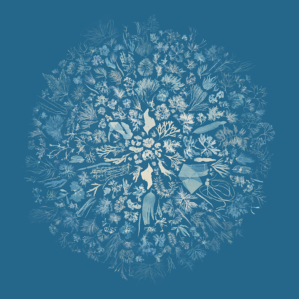 Oceanic Botanical Mandala art print by Sahra Tag for $57.95 CAD