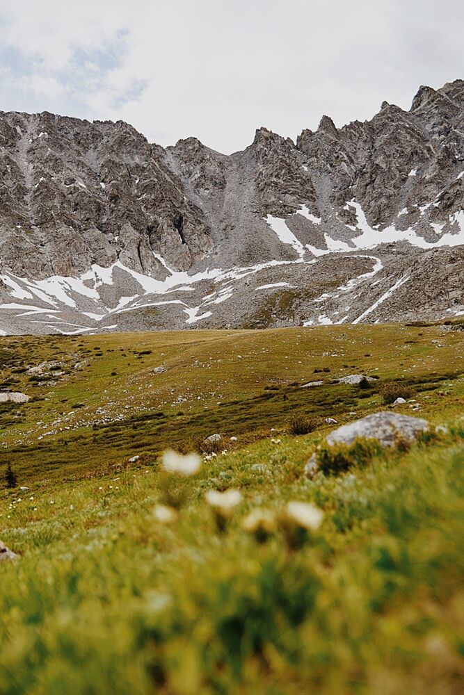Alpine Mountain Meadow art print by del Mundo Imagery for $57.95 CAD