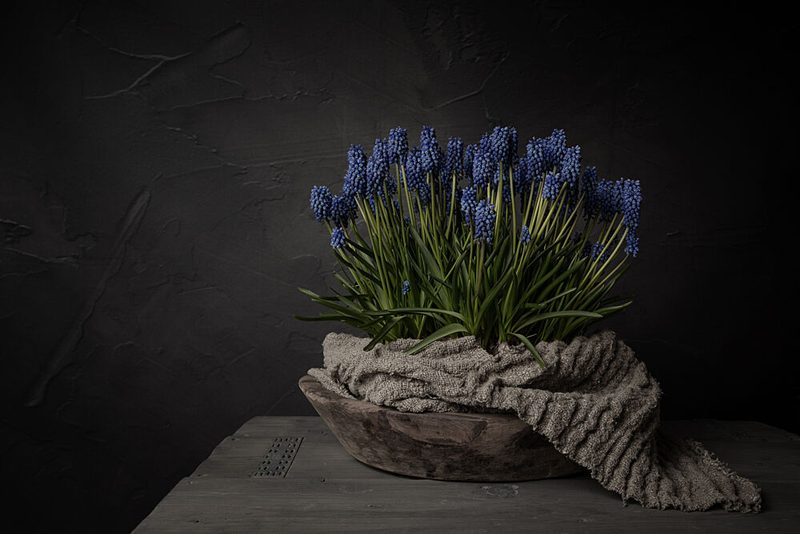 Rustic Blue Flowers art print by Mayra Pama for $57.95 CAD