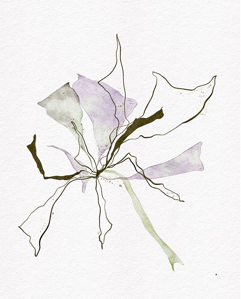 Ethereal Seaweed Botany art print by Ankie Kooi for $57.95 CAD