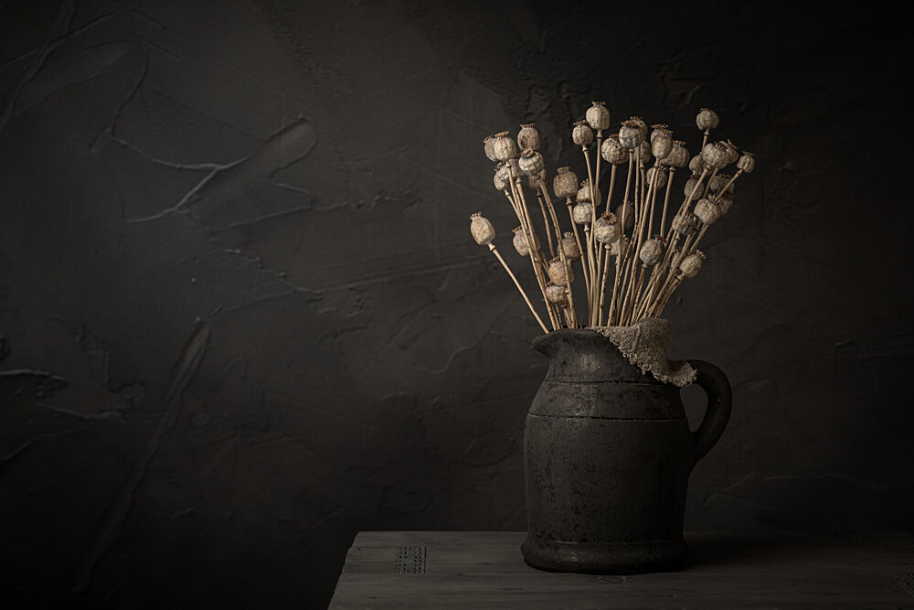 Dark Poppy Pod Still Life art print by Mayra Pama for $57.95 CAD