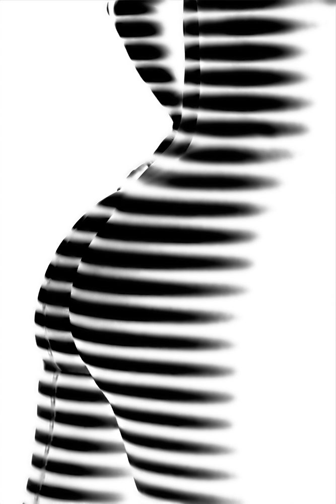 Zebra art print by Mato P. for $57.95 CAD