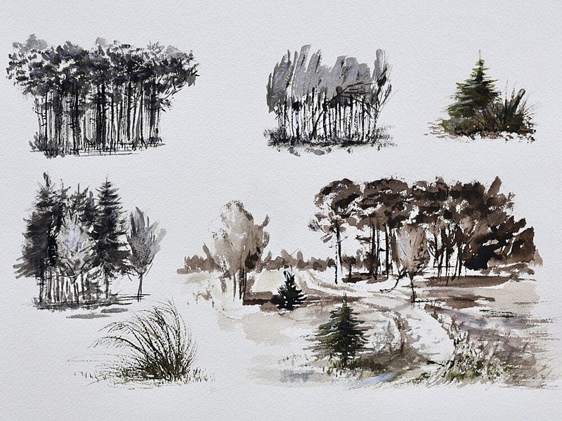 Forest Tree Studies art print by Marina Kozyr for $57.95 CAD