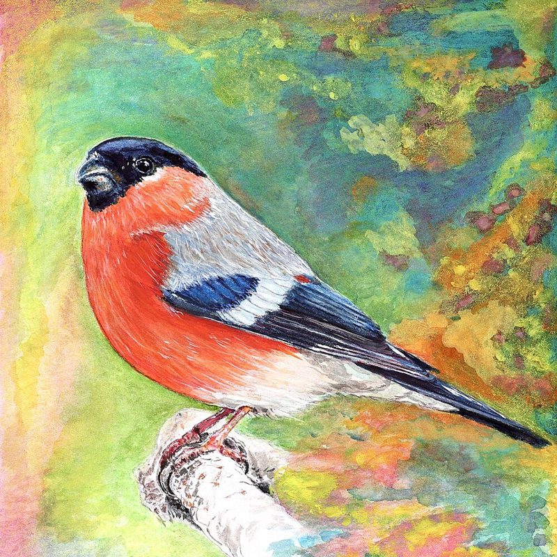 Vibrant Bullfinch Bird art print by Marina Kozyr for $57.95 CAD