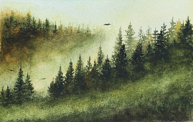 Misty Evergreen Forest art print by Marina Kozyr for $57.95 CAD