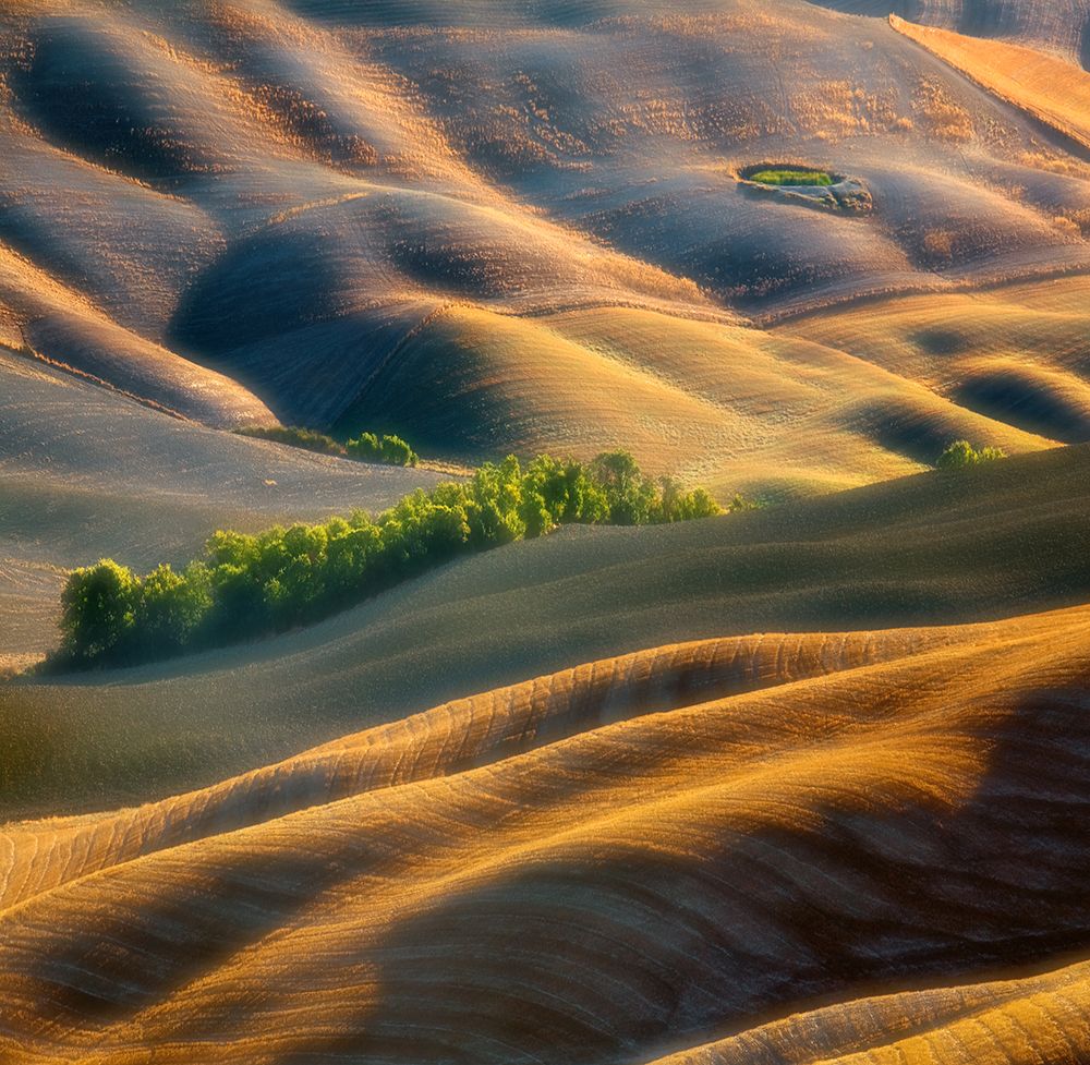 Fields art print by Krzysztof Browko for $57.95 CAD
