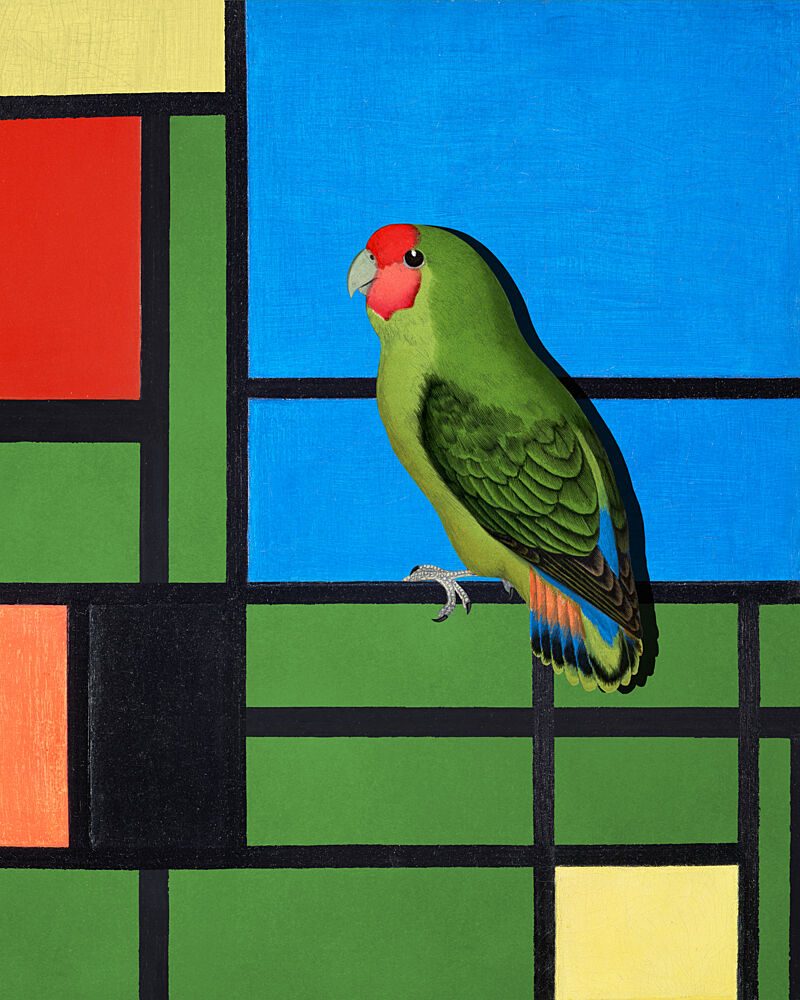 Colorful Geometric Parrot art print by Marja van den Hurk for $57.95 CAD