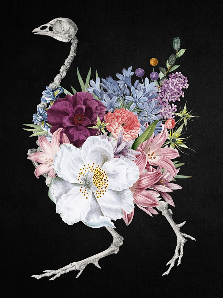 Blooming Skeleton Bird art print by Marja van den Hurk for $57.95 CAD