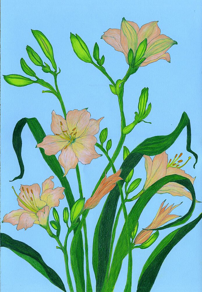 Soft Peach Blooms art print by Viktoriia Saunina for $57.95 CAD