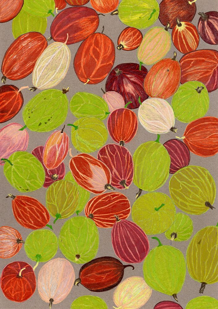 Colorful Gooseberries art print by Viktoriia Saunina for $57.95 CAD