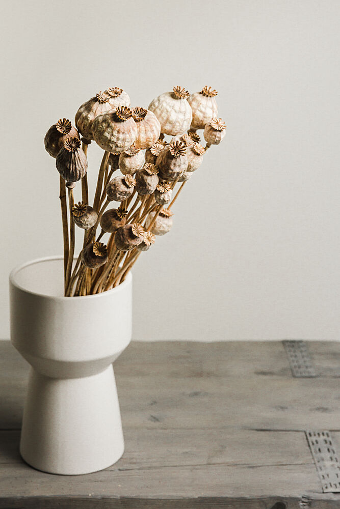 Natural Poppy Pods Vase art print by Mayra Pama for $57.95 CAD