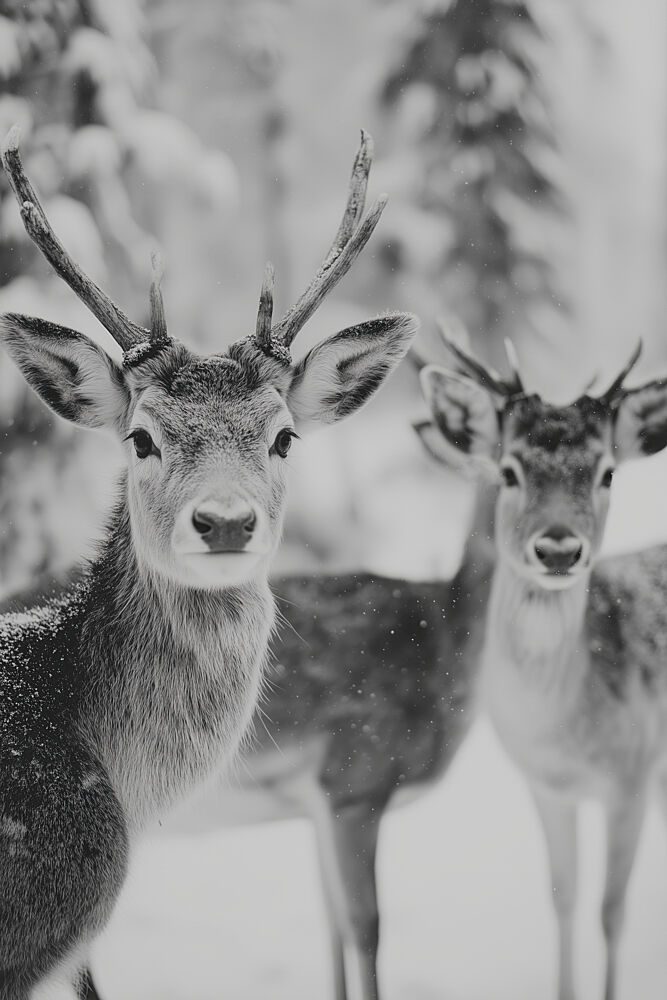 Winter Deer Trio art print by Treechild for $57.95 CAD
