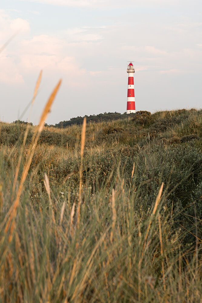 Dune Landscape and Lighthouse art print by Mayra Pama for $57.95 CAD