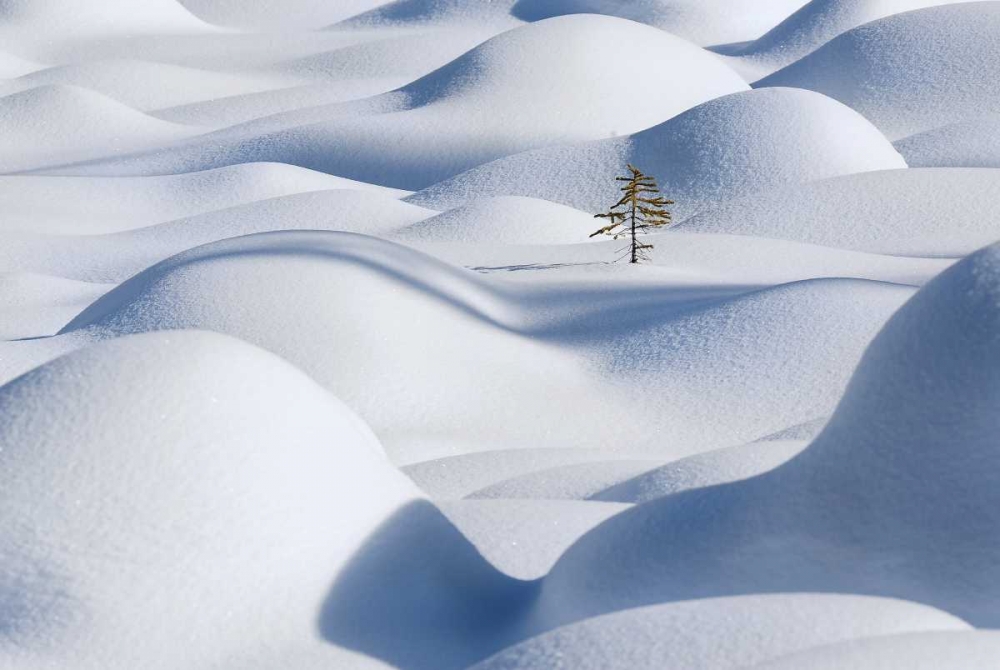 Standing In The Waves art print by Victor Liu for $57.95 CAD