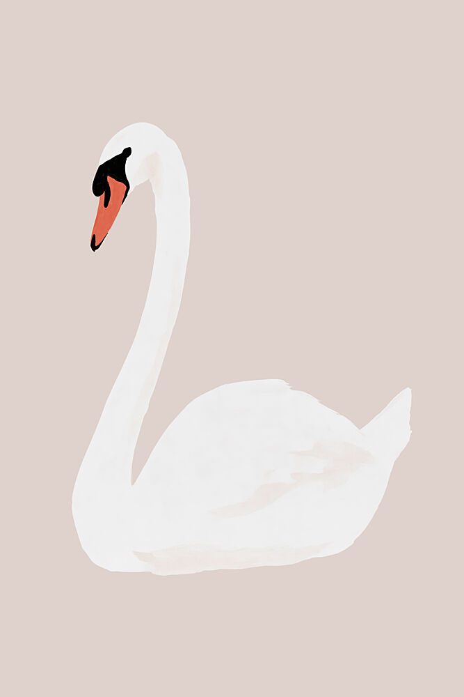 Elegant White Swan art print by Treechild for $57.95 CAD