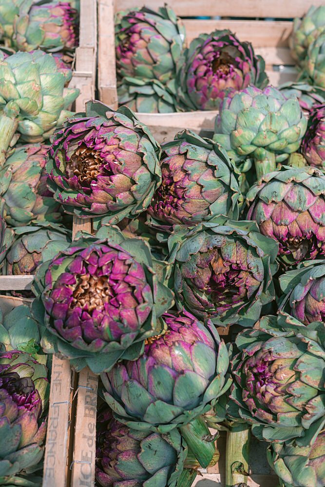 Purple and Green Artichokes art print by HelloHappylife for $57.95 CAD