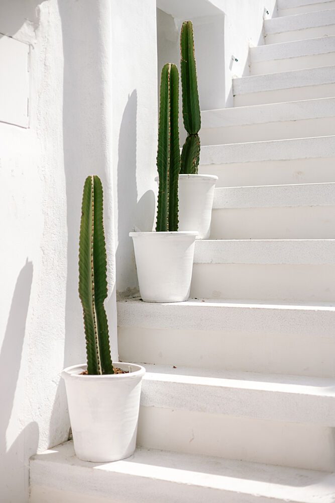 Sunlit Cactus Stairs art print by HelloHappylife for $57.95 CAD