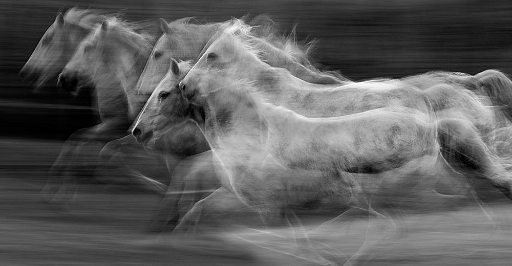 Gallop In The Repetition art print by Milan Malovrh for $57.95 CAD