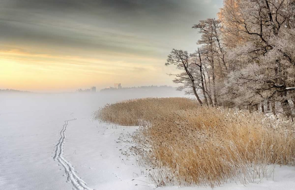 Misty Winter Morning art print by Keijo Savolainen for $57.95 CAD