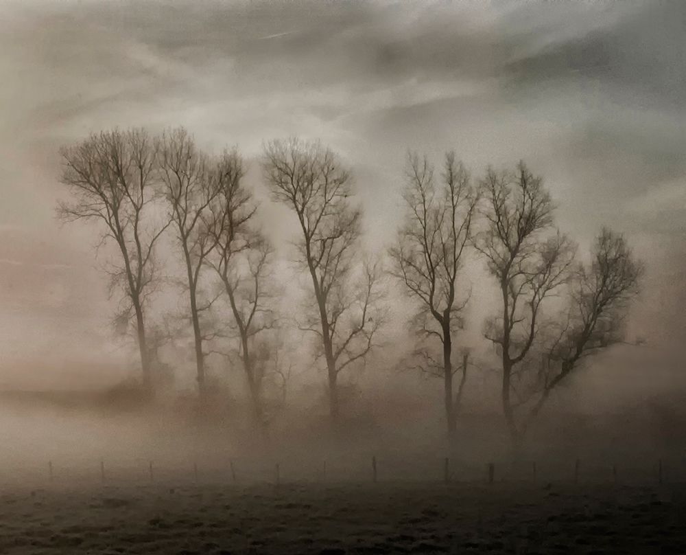 How nature hides the wrinkles of her antiquity under morning fog and dew art print by Yvette Depaepe for $57.95 CAD