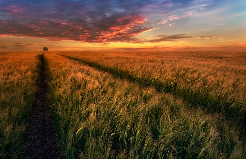 Somewhere At Sunset art print by Piotr Krol for $57.95 CAD