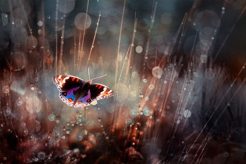 Traped art print by Rooswandy Juniawan for $57.95 CAD