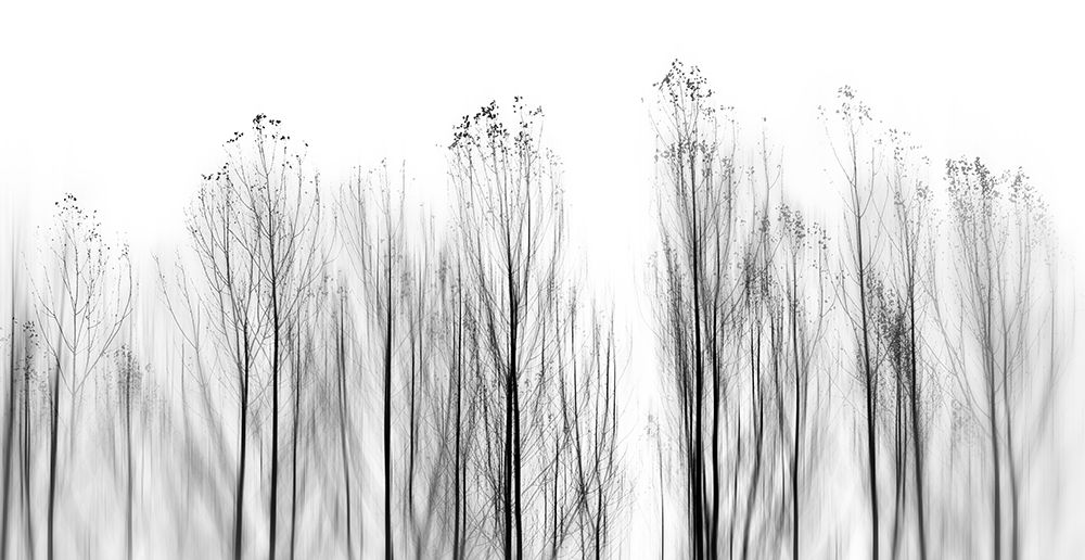 No Grounds art print by Paulo Abrantes for $57.95 CAD