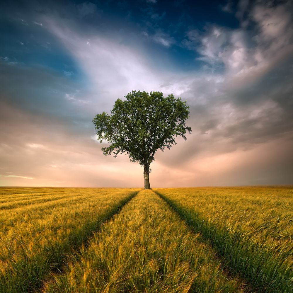 One art print by Piotr Krol (Bax) for $57.95 CAD