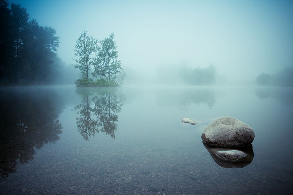 Laguna Morning art print by Robert Adamec for $57.95 CAD