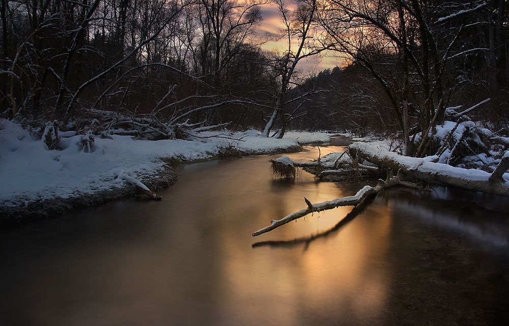 Winter Light art print by Norbert Maier for $57.95 CAD