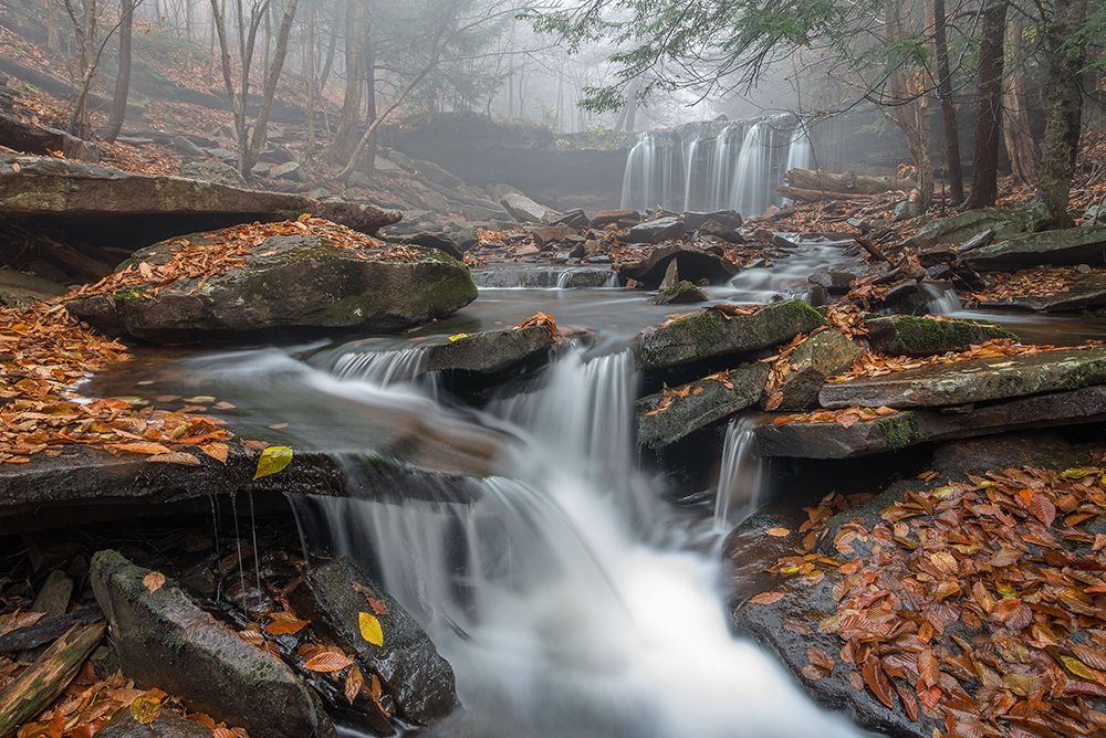 Morning Fog by Nick Kalathas