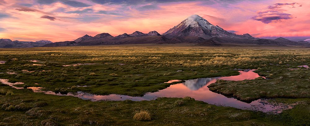 Sajama art print by Margarita Chernilova for $57.95 CAD