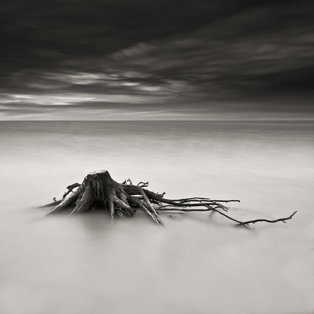 Immortel art print by Benoit Thierard for $57.95 CAD