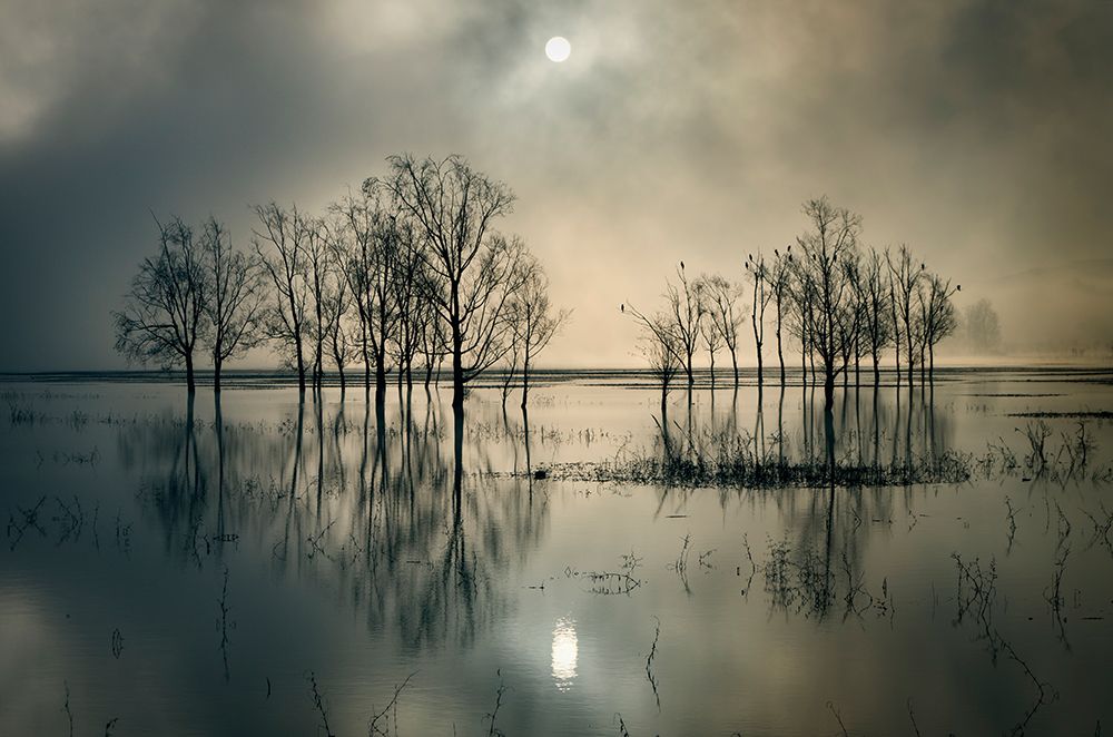 Lakes Secret art print by Flj Joanne for $57.95 CAD