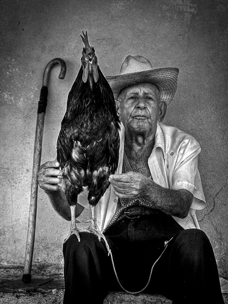 The Old Man With His Figting Cock art print by Alain Mazalrey for $57.95 CAD