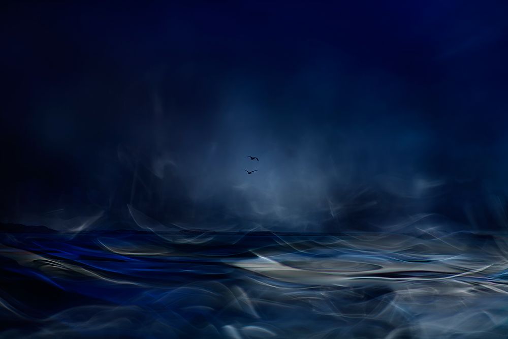 Fly Away art print by Willy Marthinussen for $57.95 CAD