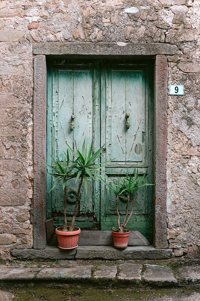 Old Green Door Plants art print by HelloHappylife for $57.95 CAD