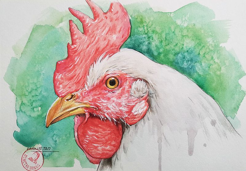 White Rooster Portrait art print by Hongtao Huang for $57.95 CAD
