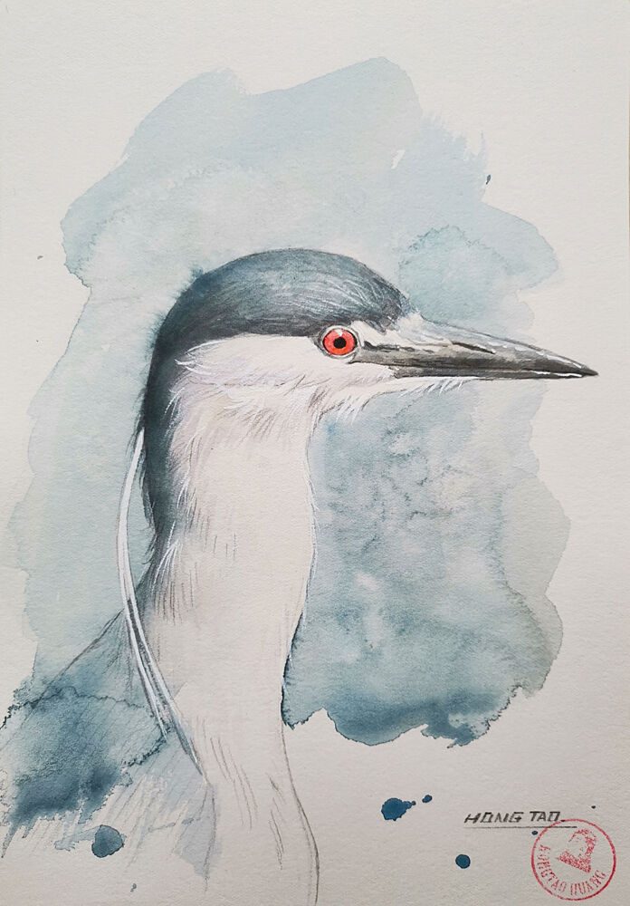 Watercolor Night Heron art print by Hongtao Huang for $57.95 CAD