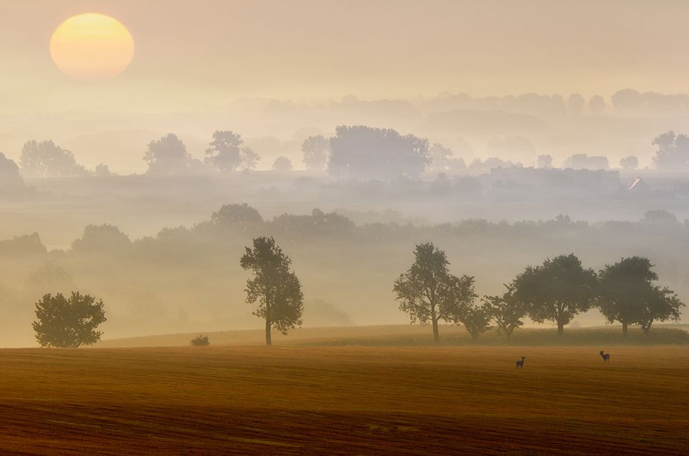 Morning View art print by Piotr Krol for $57.95 CAD