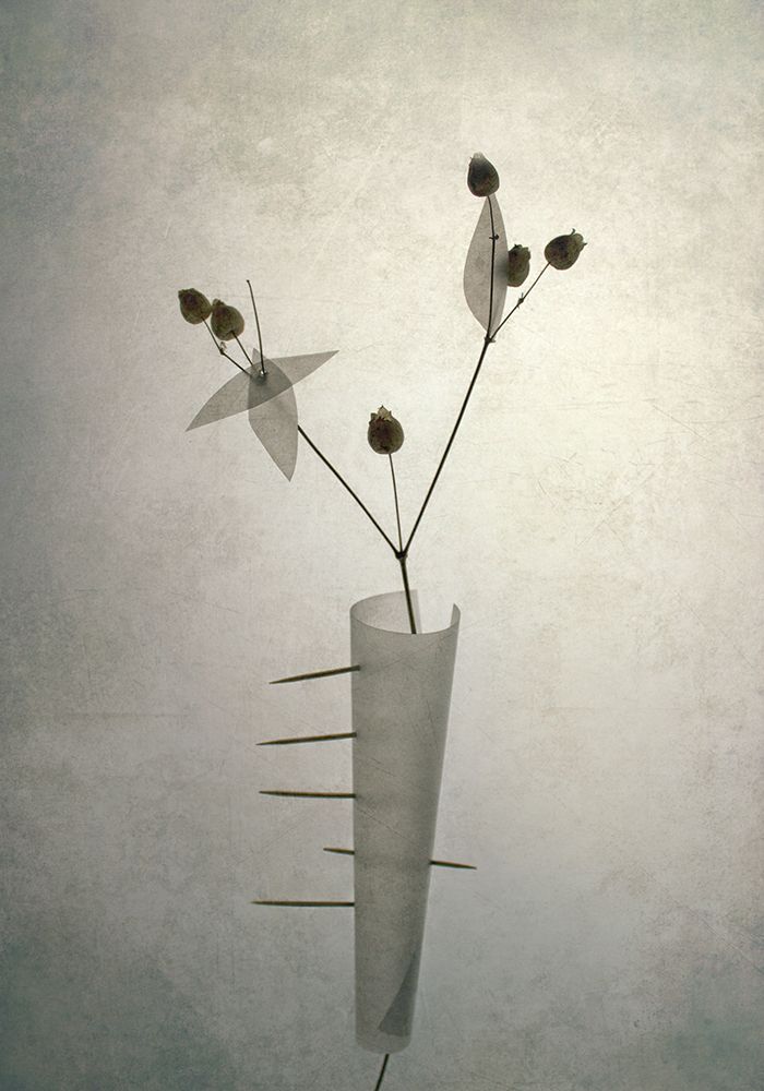 *** art print by Dimitar Lazarov for $57.95 CAD