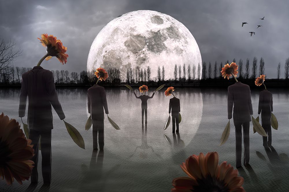 The Mysterious Cult art print by Christophe Kiciak for $57.95 CAD