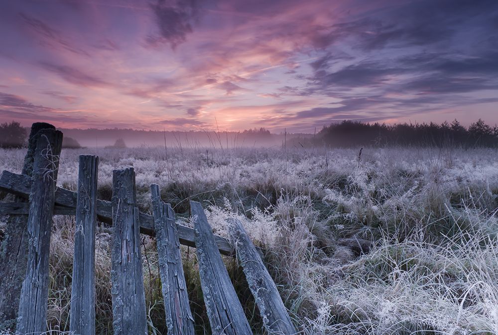 Dawn Of Bialowieza Meadows art print by Krzysztof Lorant for $57.95 CAD