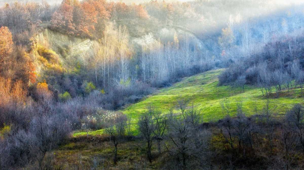 November Colors art print by Adrian Popan for $57.95 CAD