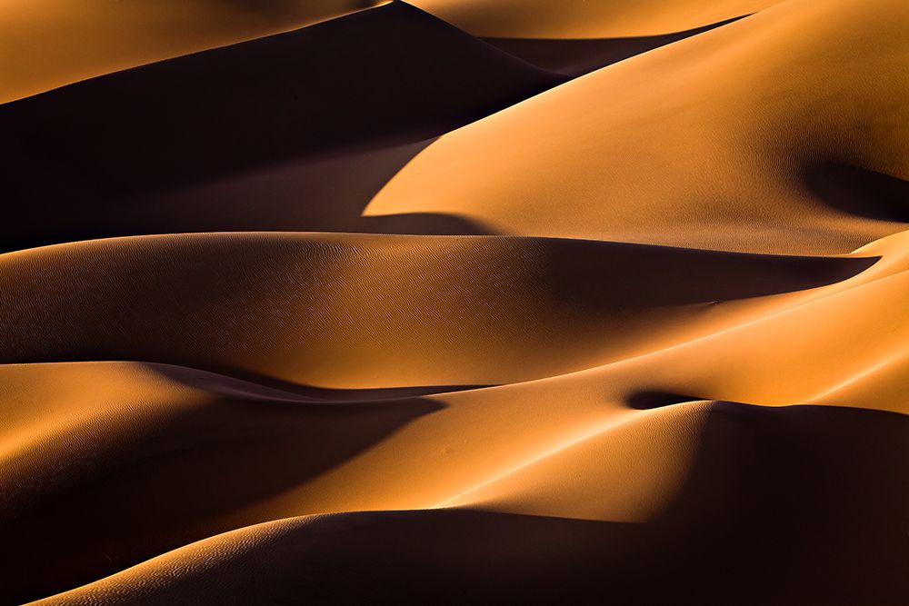 Light And Shadow art print by Mohammadreza Momeni for $57.95 CAD