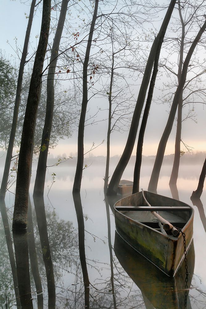 Serene Dawn art print by Rui David for $57.95 CAD