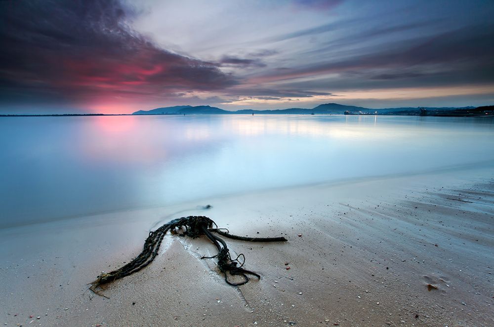 Read The Signs art print by Rui David for $57.95 CAD